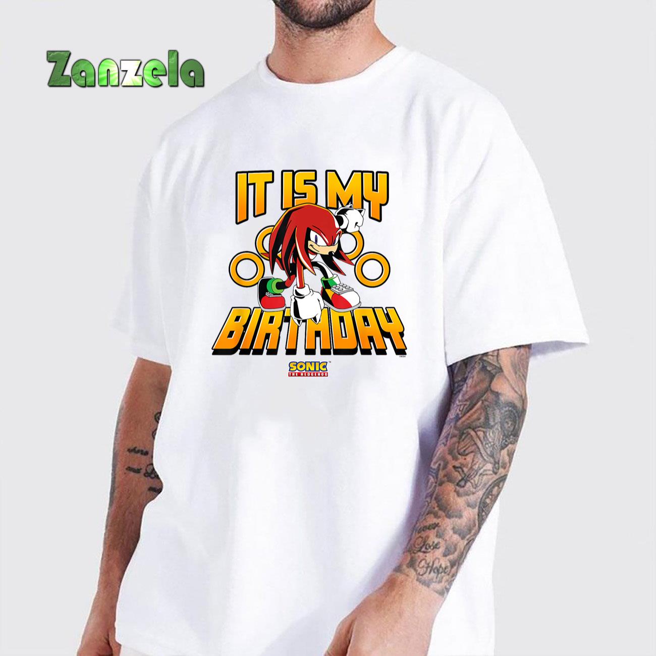 Sonic The Hedgehog Birthday It Is My Birthday Knuckles Logo T-Shirt